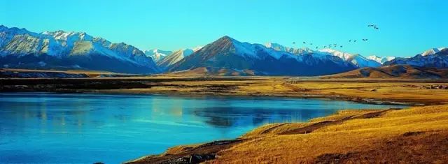 甘肃,这次真的太委屈了