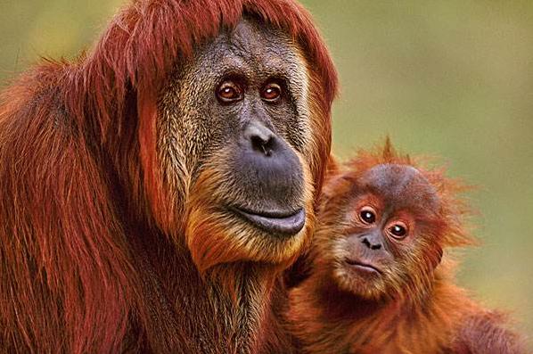 秋天适合去哪儿旅游,选择秋天去小兴安岭旅游的理由