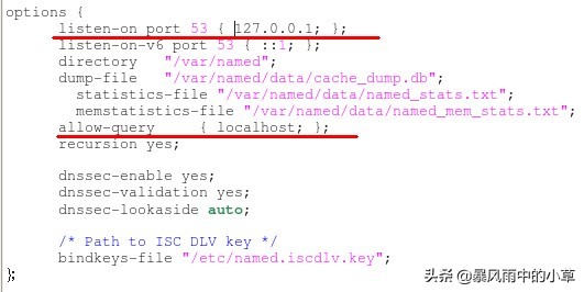 linux环境下如何搭建服务器,linux环境下配置python环境