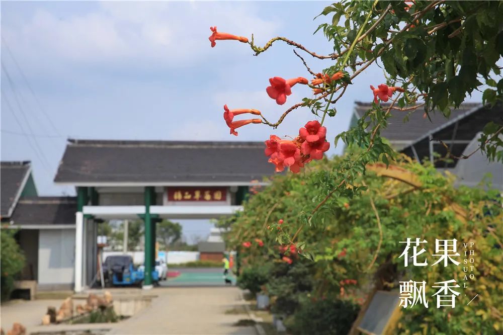 刘博士教种地,刘博士生涯规划