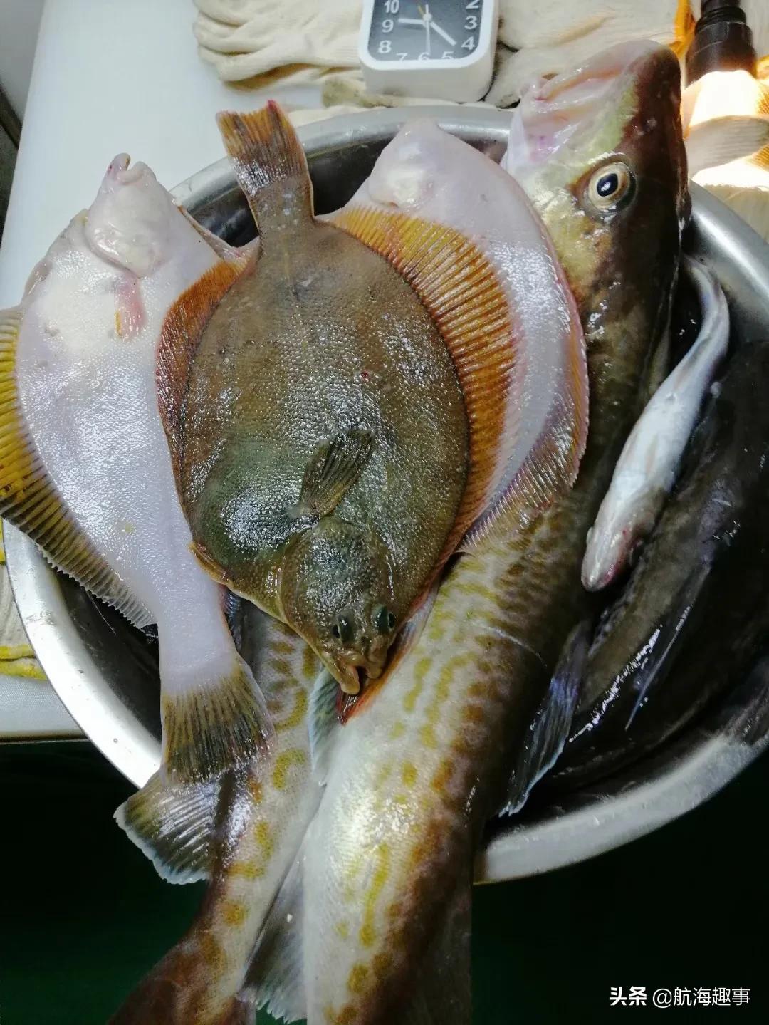 鑸捣鏁呬簨,鑸捣鏁呬簨鍒嗕韩