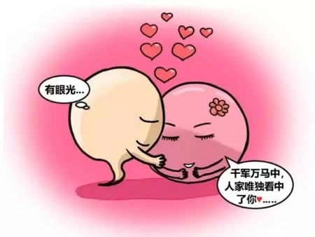 卵子怎么产生和死亡的,卵子到底是怎么死的