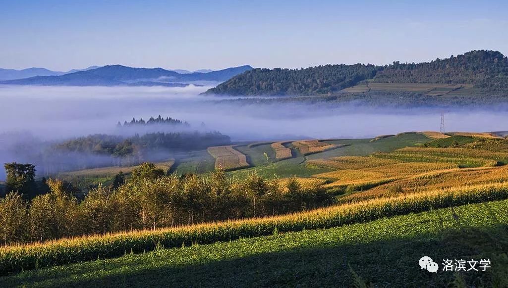 邵孔发「安徽」散文/老车站