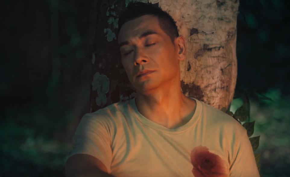 赵文卓和甄子丹矛盾的电影,赵文卓和甄子丹同演的电影