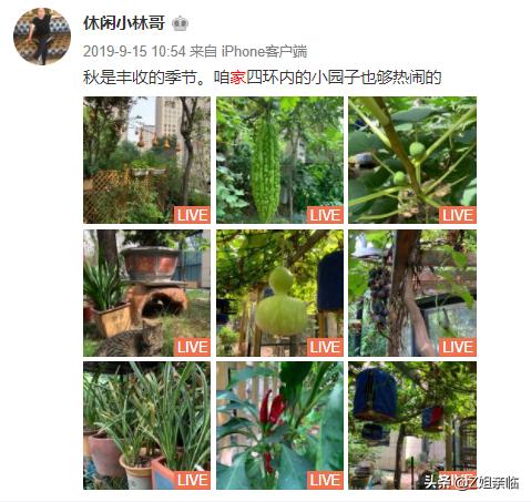 李云迪嫖娼被举报,明星再小心,还是躲不过神秘的朝阳群众