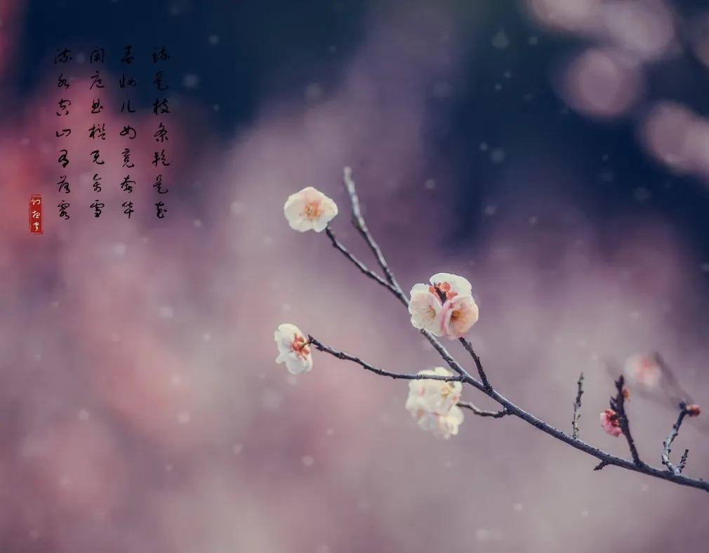 10句惊艳岁月的诗词,十首岁月静好的诗句