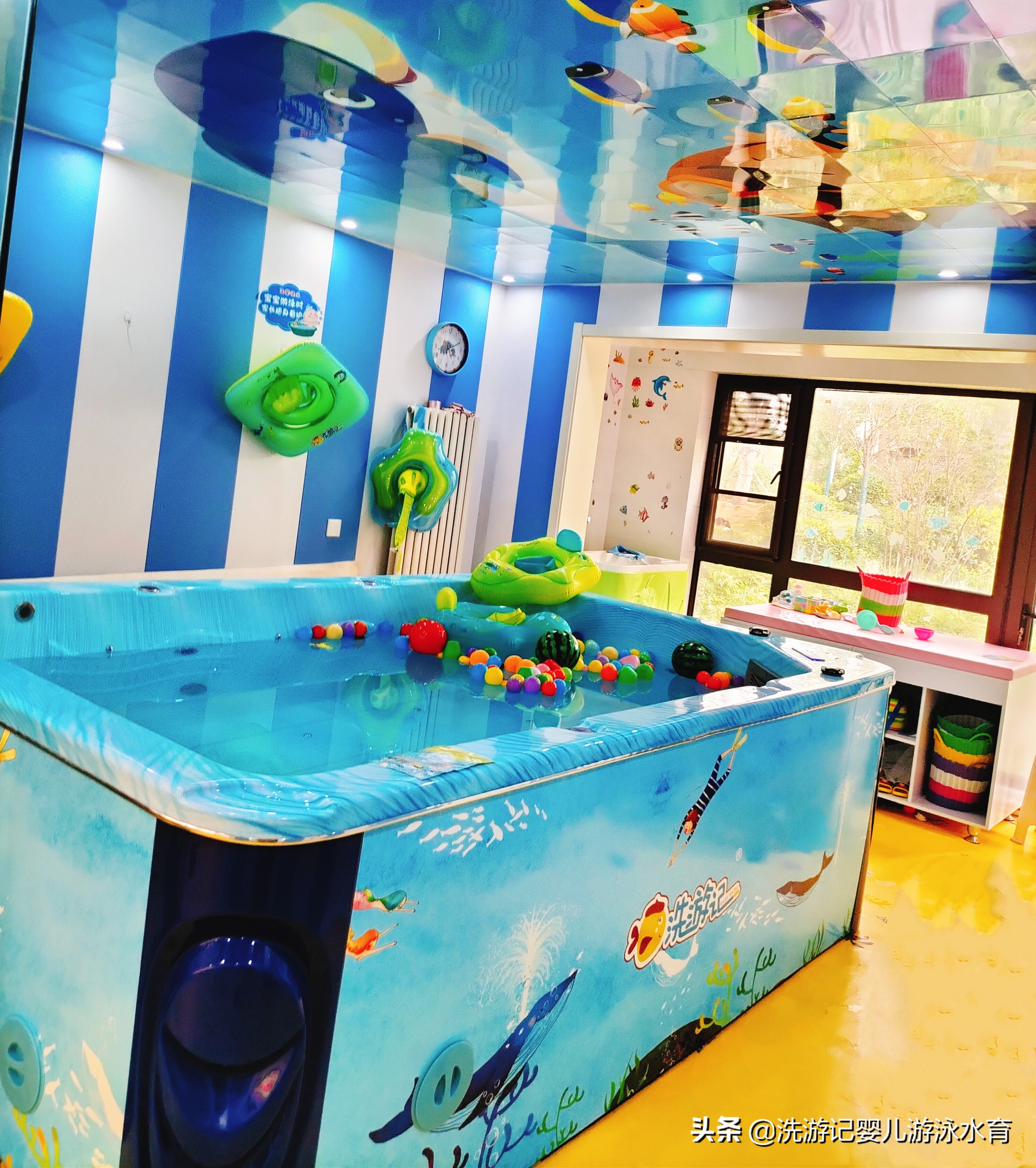 蓝鲸婴幼儿游泳加盟,开婴儿游泳加盟店费用大概多少