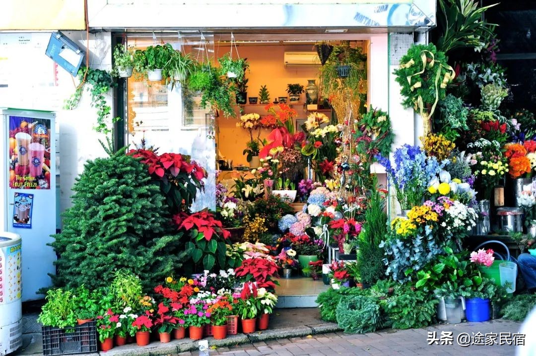 香港小众景点值得去吗,去香港必去的几个地方