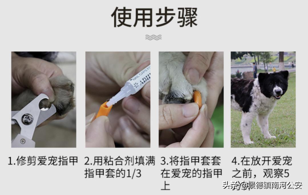 “割声带、截肢、电击，当爱变成我的噩梦”