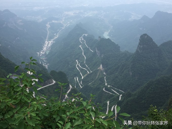 到张家界天门山自助游价格多少钱,武汉到张家界天门山三日游