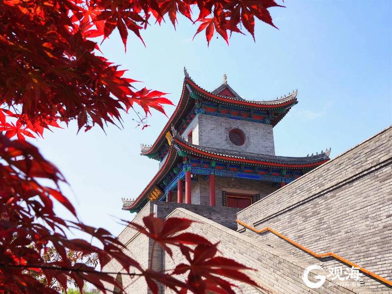 门票免费、特惠助力！重阳节带长辈逛青岛，这些景点一定适合