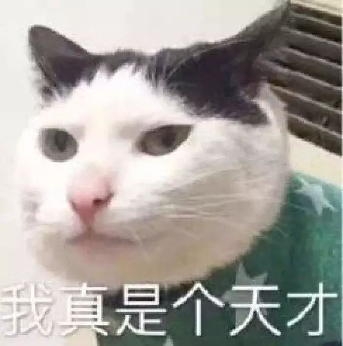 出境游领队证取消,可以代购旅游领队证吗