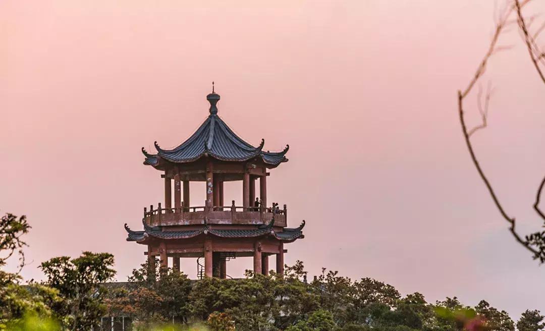 附近莲塘,附近的莲塘