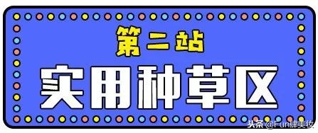 这些网红神器真的有用吗,盘点你买了就会后悔的网红神器