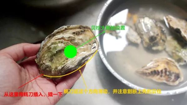 湖南口味生蚝怎么做好吃,什么口味的生蚝最好吃