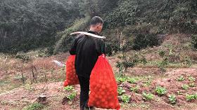 留守老人心酸,心酸留守老人