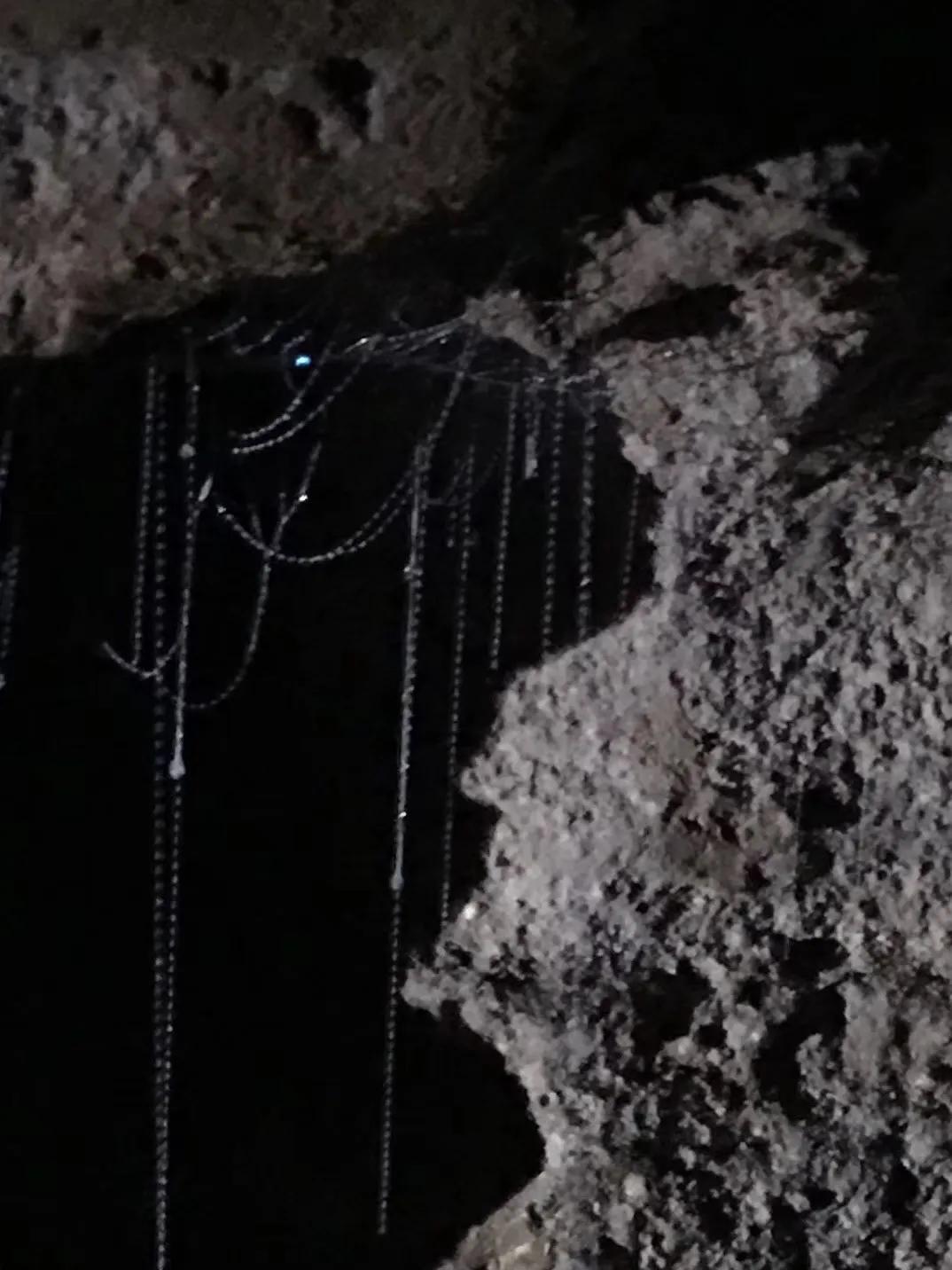 记忆中的旅行之新西兰（北岛）