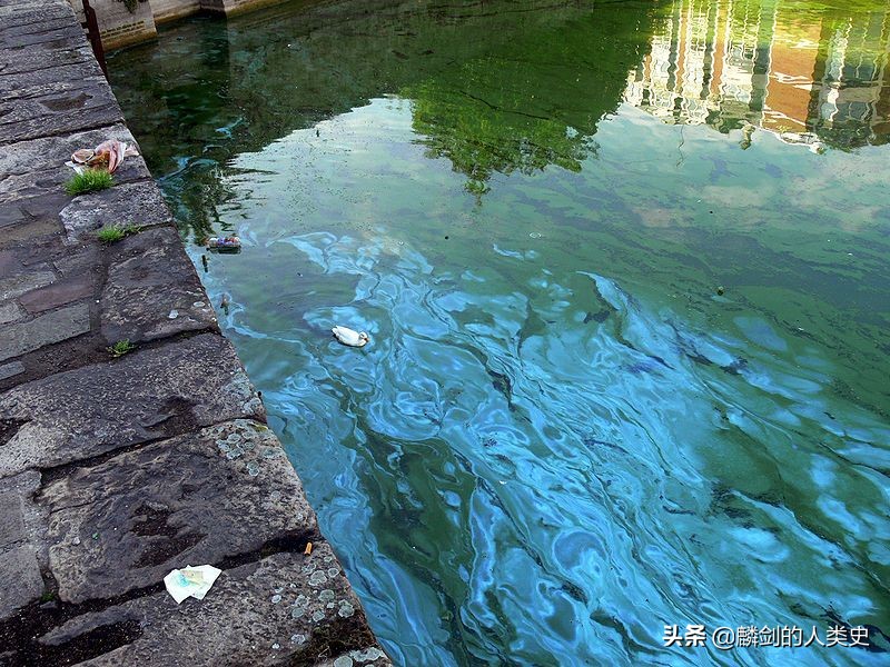 地球微生物的种类,地球生物周期