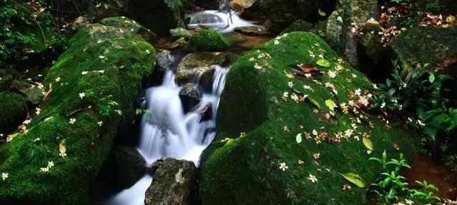 适合自由行的旅行胜地,在中国去哪里旅游又省钱又惬意