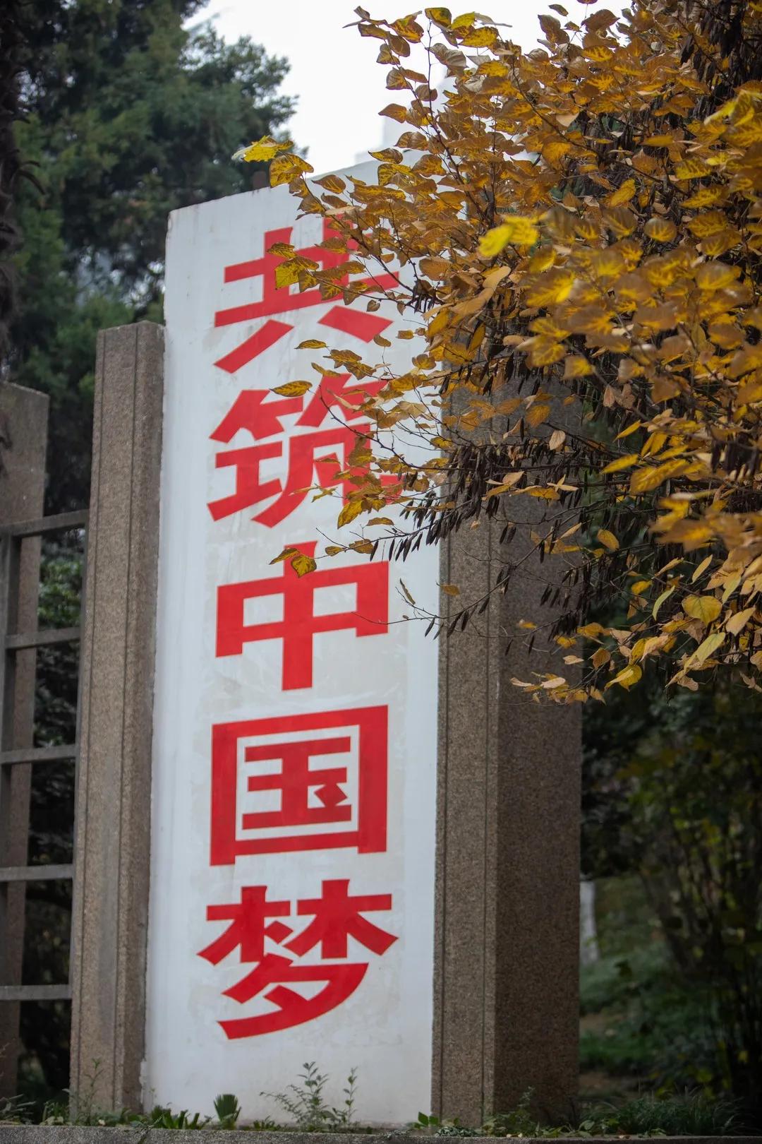 西安莲湖公园晨跑,西安莲湖公园散步