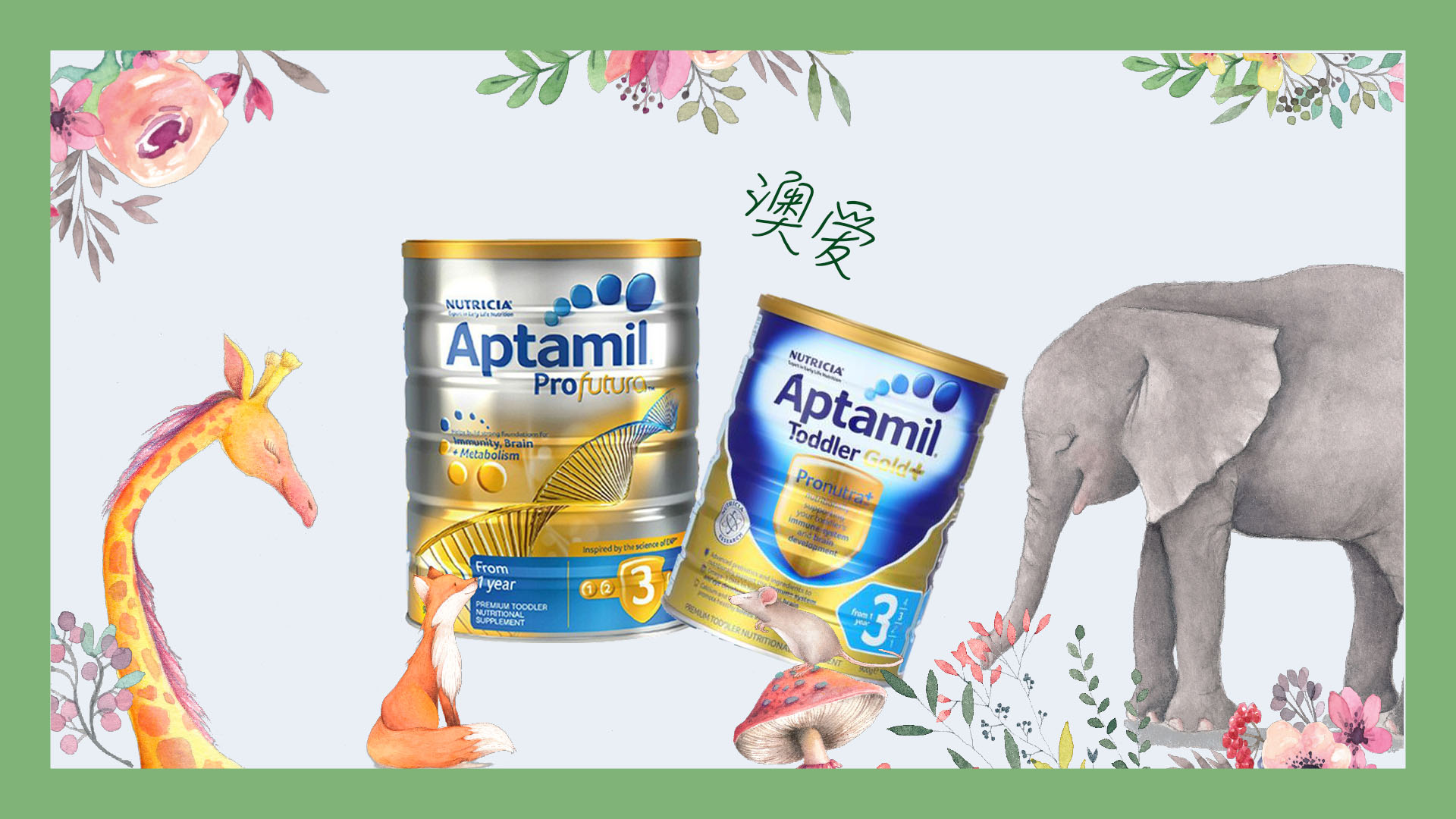 澳洲爱他美金装怎么看奶粉真假,2019年版爱他美奶粉澳洲版本