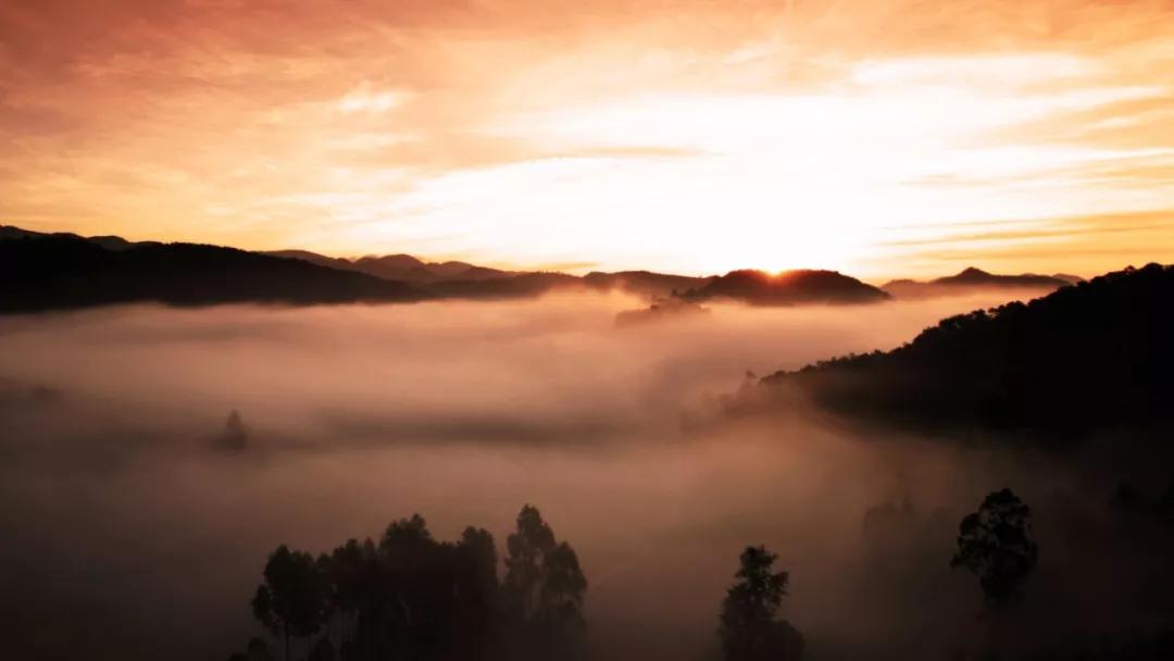 这是一个充满生机的公园怎么说,这是一个充满生机的国度朗诵