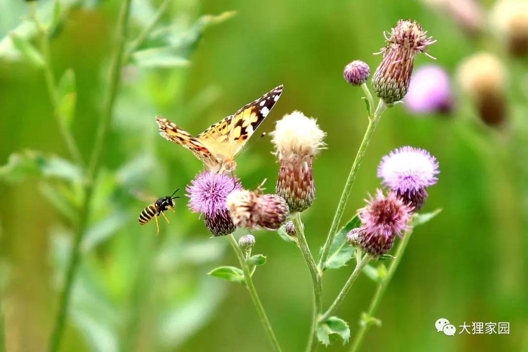 带娃的日子有滋有味,日子过得有滋有味广场舞