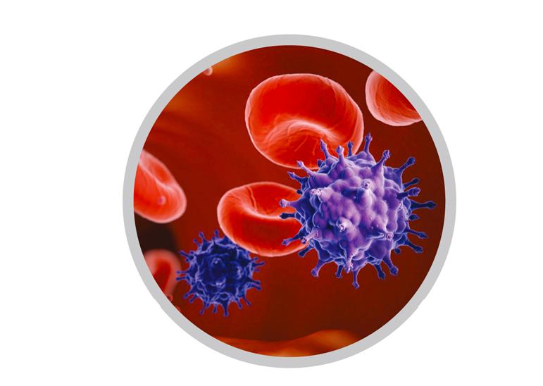 猩猩艾滋病毒是怎么传染给人的,艾滋病毒主要侵害细胞