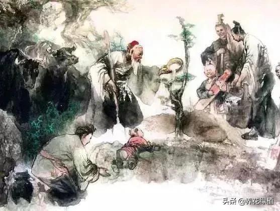 了解清明节的由来以及各种习俗,清明节的知识和习俗