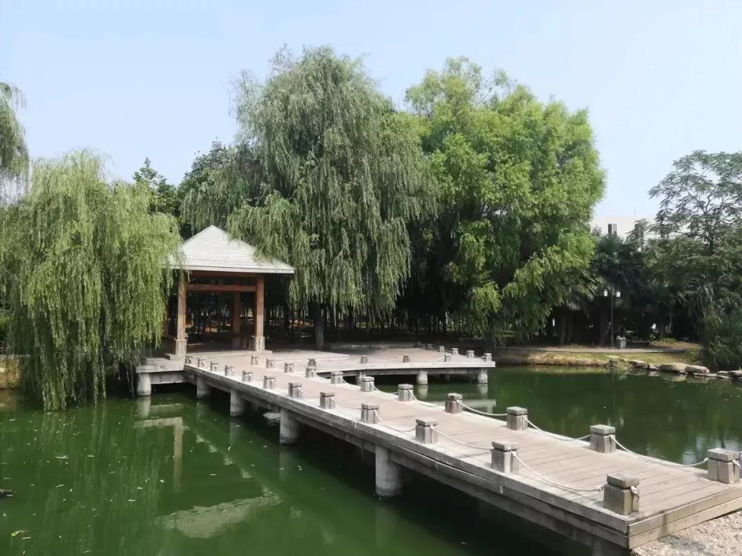 淮南师范学院在安徽排名,淮南师范学院安徽省排名