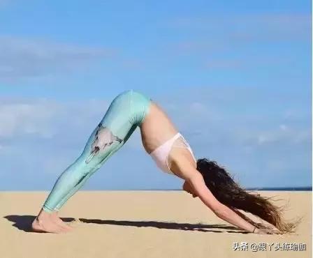 下犬式的好处,每天下犬式有什么好处