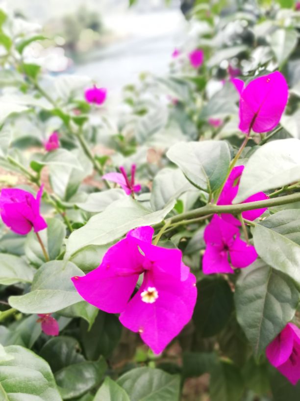 婚姻出现了裂痕还能过下去吗,我发现了婚姻破裂的3个真相