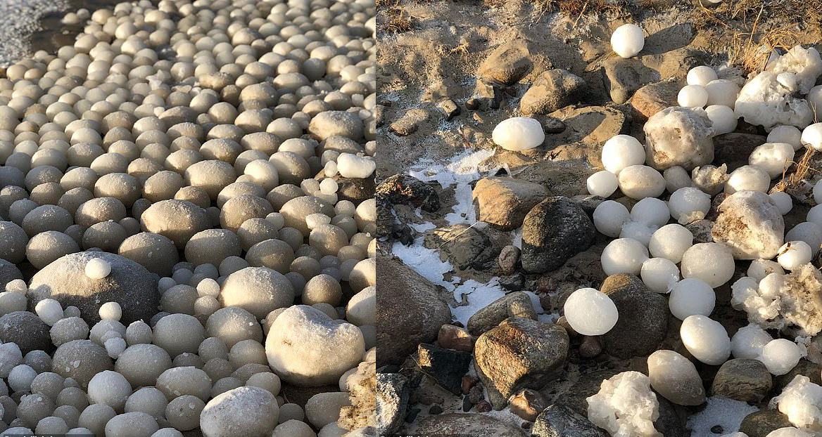 海滩石头上密密麻麻尖尖的是什么,海滩发现奇异石头