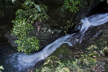 三门县稻蓬山风景名胜区门票,三门县紫云山庄