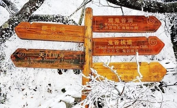 冬天去张家界好吗,张家界冬天去危险吗