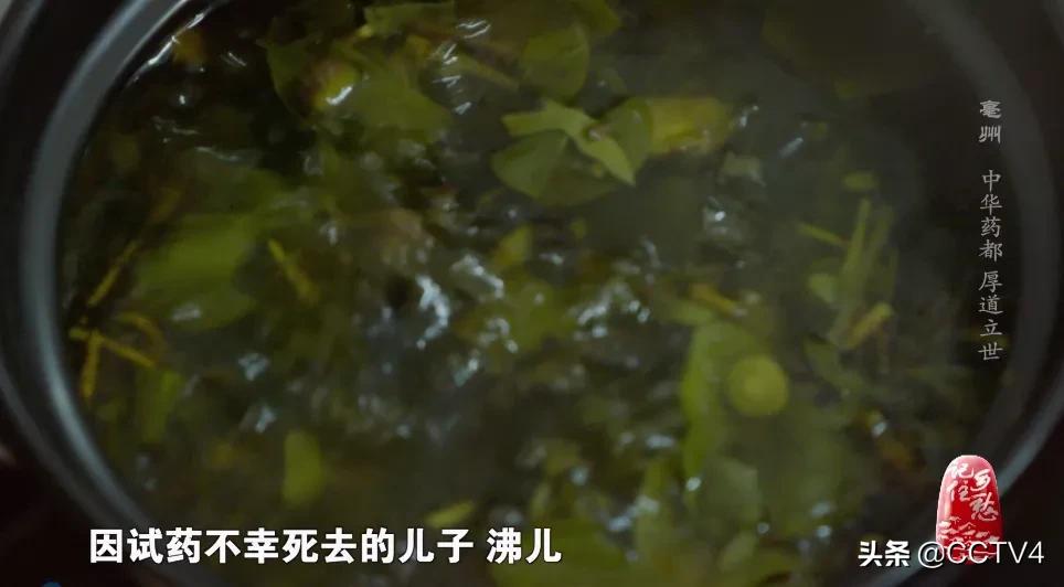 华佗故乡亳州药都之乡简介,亳州为什么被称为华佗故里