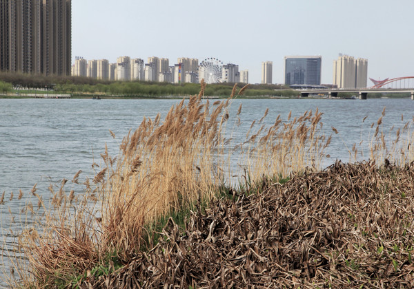 春游江淮请你来滁州版,春游江淮等您来