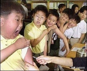 猫咪打疫苗跟狂犬疫苗一样吗,猫咪打疫苗针头往上还是往下