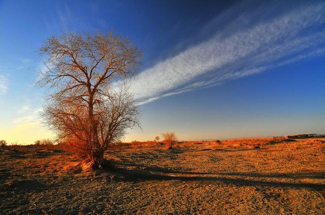 出塞唐王之涣春风不度玉门关,王之涣描写玉门关的诗