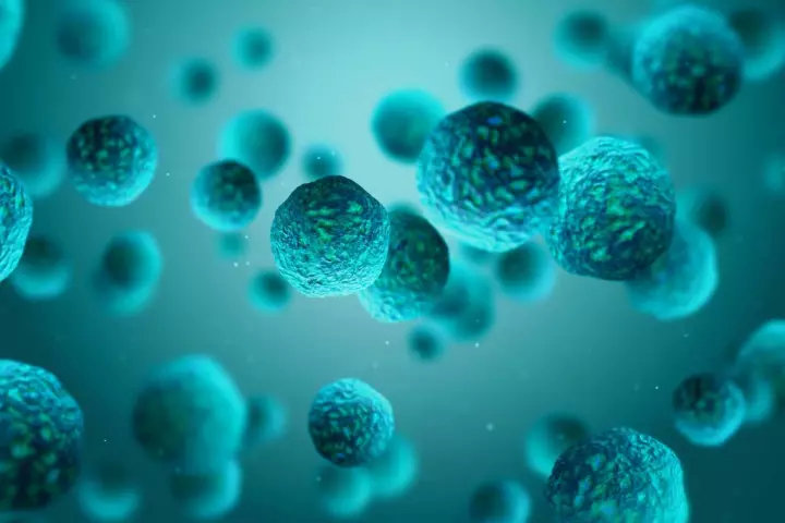 cie官方旗舰店直播间,cie网课