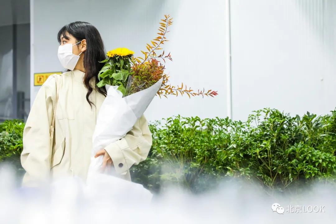 最便宜的北京花市,北京超好逛的花市