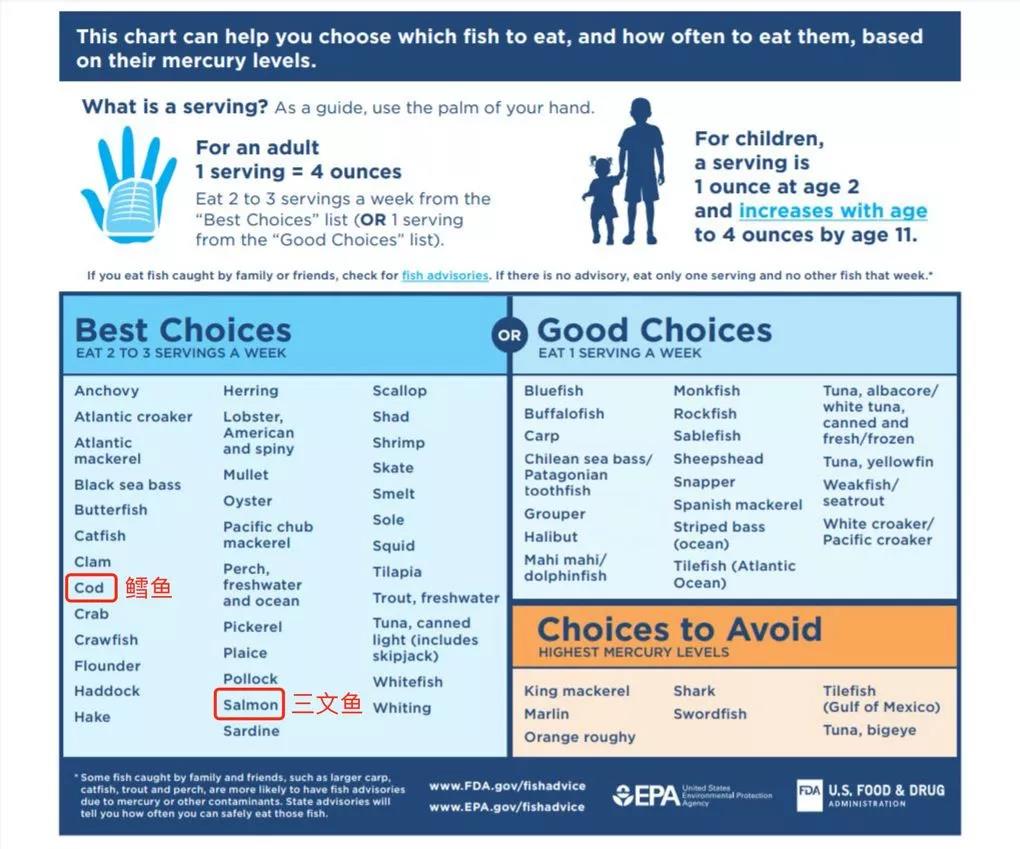 dha是个好东西,孕几月补dha最好