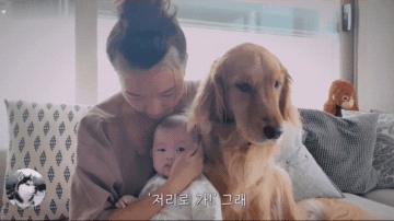 女主人生孩子后宠物的反应,女主人生了宝宝狗狗会咬吗