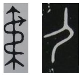 关于张姓历史报告的研究结论,关于张姓的历史人物研究报告