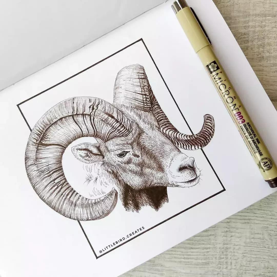 这一波手绘太给力了,绝对让你练完不厉害都难