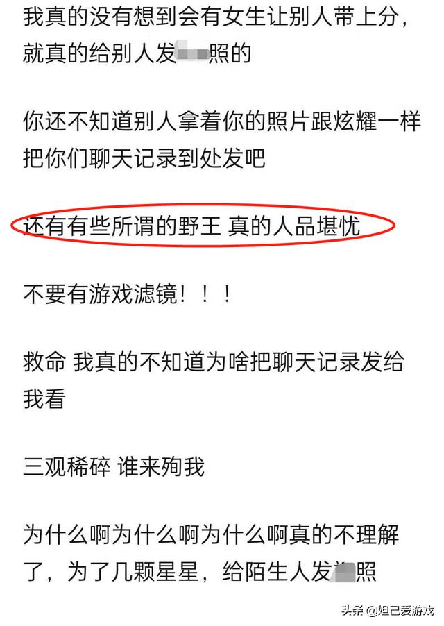 王者玩家鱼龙混杂,王者柚恋战队事件