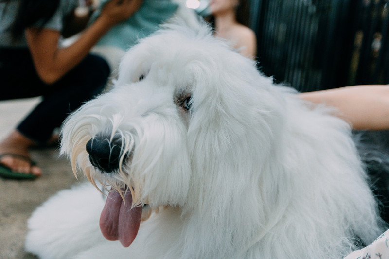 多次曼谷,整理了这份美食攻略,曼谷怎么吃?快戳进来