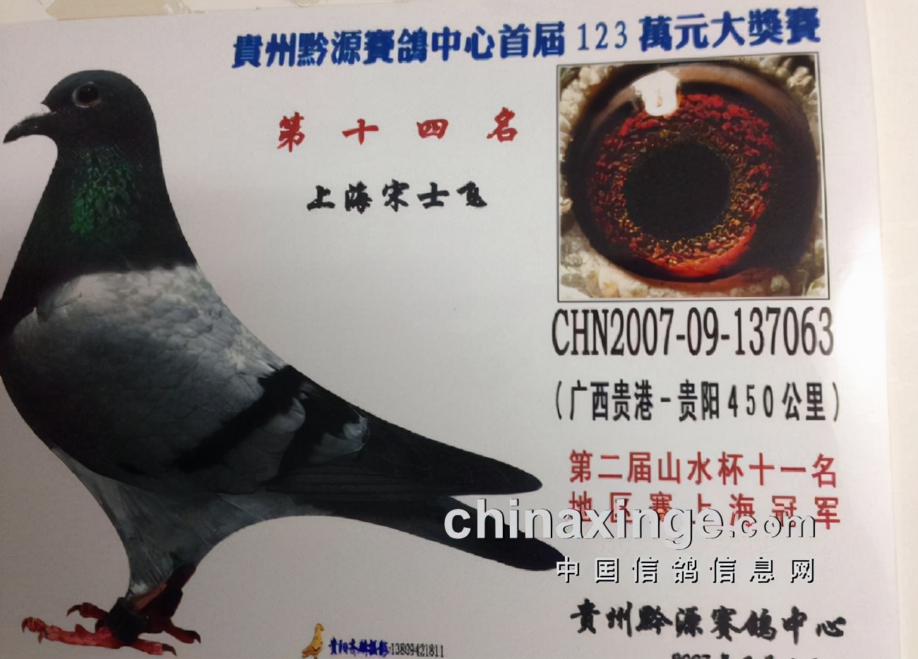 上海七旬老将的光耀：超远程结硕果公棚斩佳绩