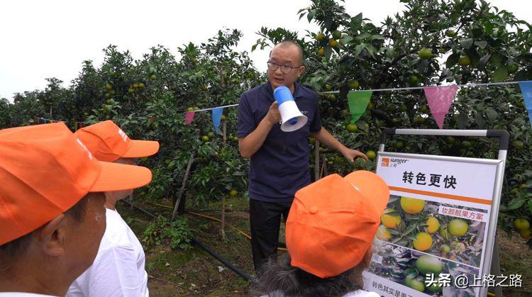眉山柑橘推介会,眉山柑橘技术