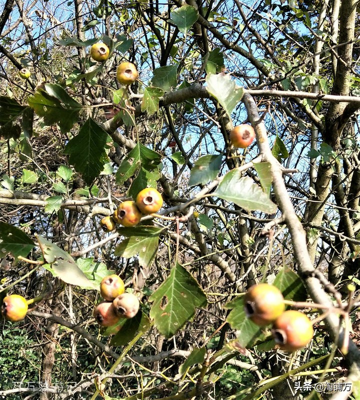 趁青春多折腾,趁着年轻四处游一游